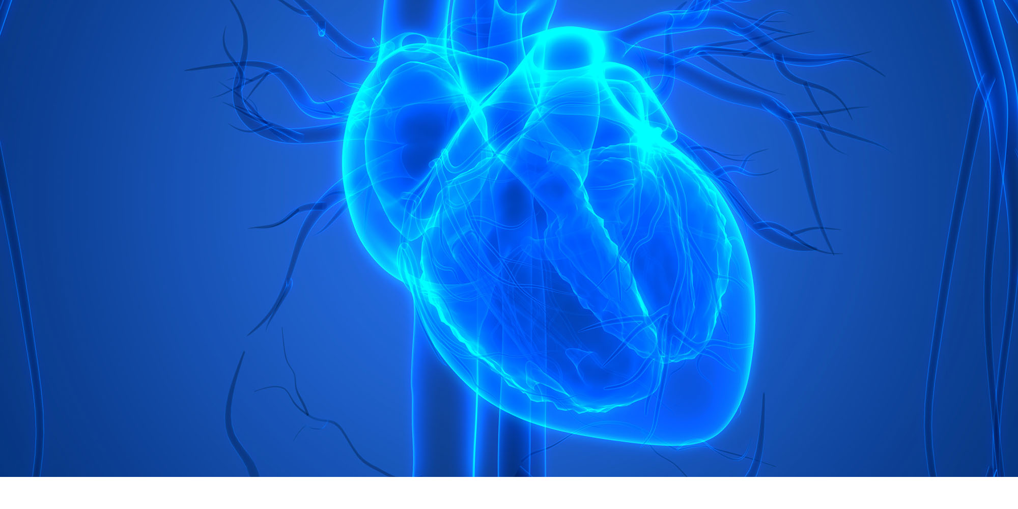 Left Atrial Appendance Closure